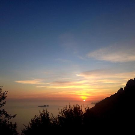 L'Uliveto Bed & Breakfast โปซิตาโน ภายนอก รูปภาพ