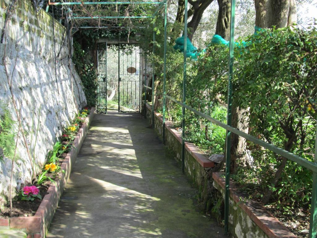 L'Uliveto Bed & Breakfast โปซิตาโน ภายนอก รูปภาพ